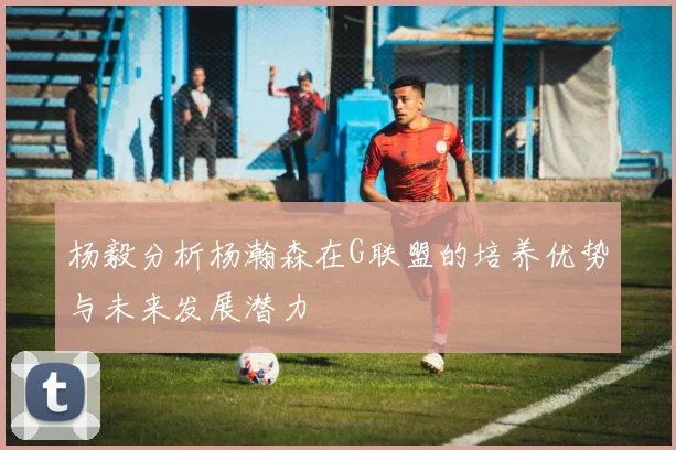 杨毅分析杨瀚森在G联盟的培养优势与未来发展潜力