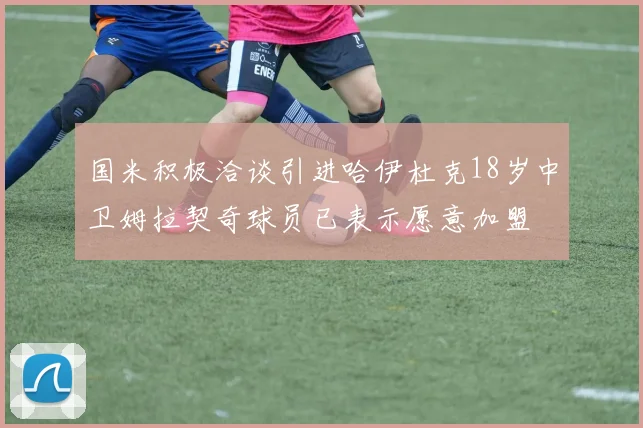 国米积极洽谈引进哈伊杜克18岁中卫姆拉契奇球员已表示愿意加盟