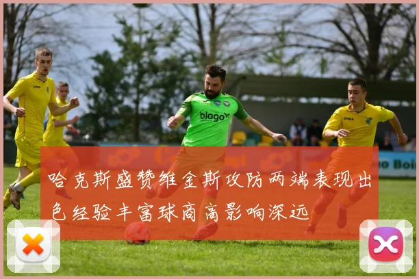 哈克斯盛赞维金斯攻防两端表现出色经验丰富球商高影响深远