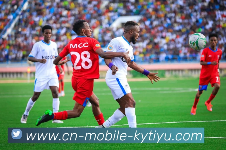 开云体育APP 封面图