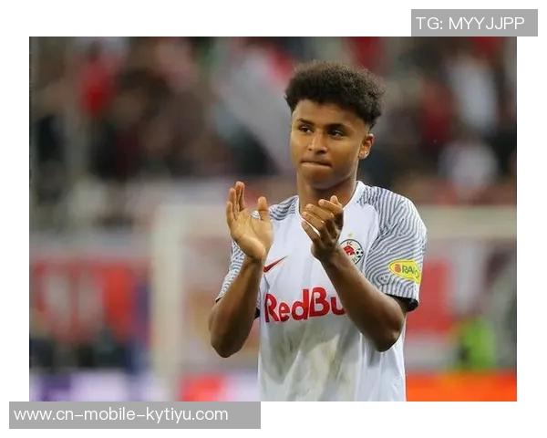 德媒揭示阿德耶米神秘盒子真相并非误购武器背后故事